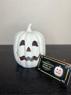 NEW Target Bullseyes Playground Halloween 2026 White Terracotta Light Up Pumpkin